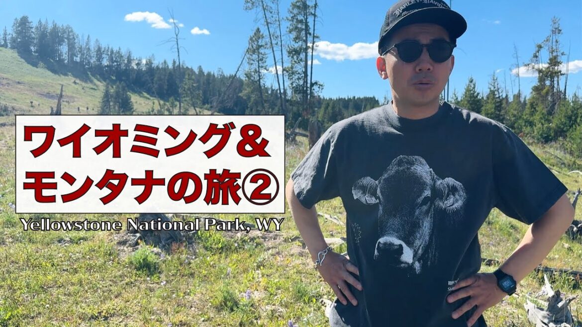 ワイオミング州&モンタナ州の旅② – 今回はイエローストーン。バイソンの貴重な映像あり! *風の音とか酷いけどごめんね!!
