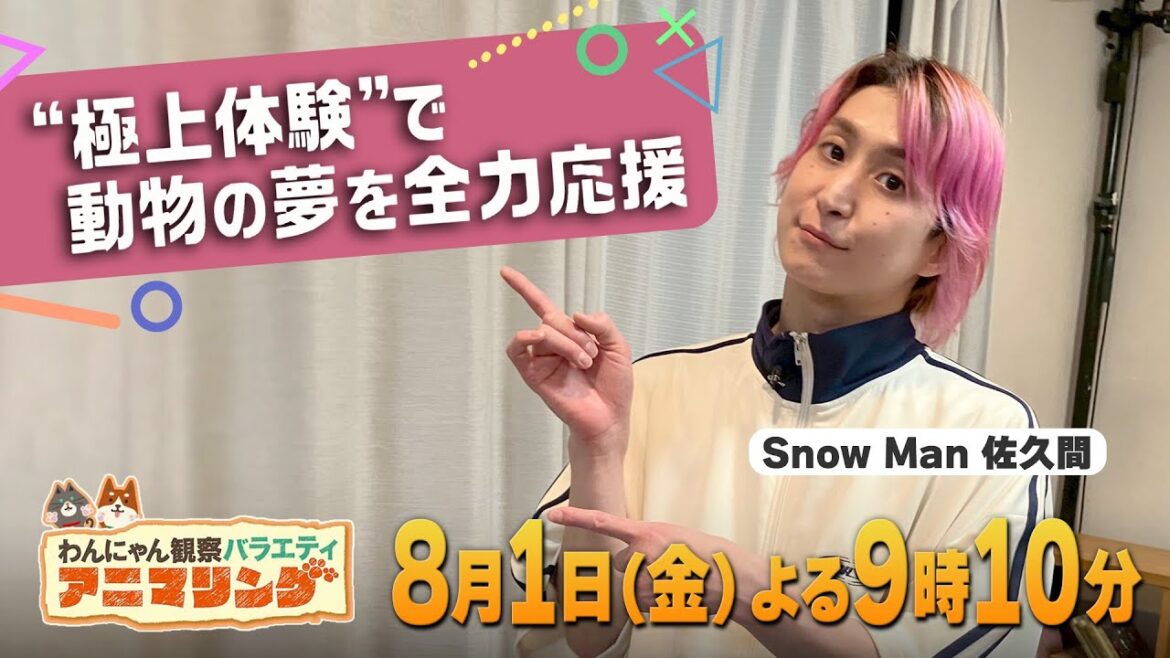 Snow Man 佐久間大介が“極上体験”で動物の夢を全力応援!『アニマリング』8/1(金)【TBS】