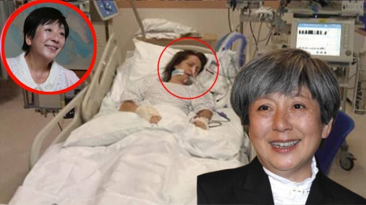 冒険家で女優の和泉雅子さん死去 日本人女性で初の北極点到達