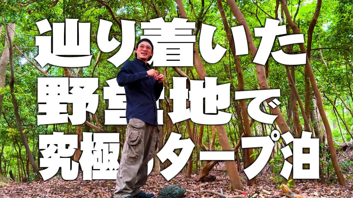 【野営キャンプ】ブッシュクラフターが魅せる!究極のタープ泊