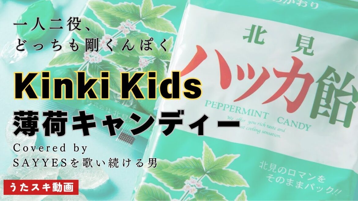 薄荷キャンディー/Kinki Kids(DOMOTO)【名曲、歌ってみた】#cover
