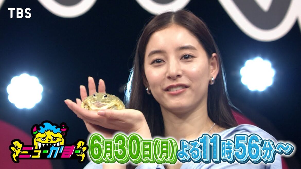 新木優子が今最も知りたい「焼き魚」&「カワイイかえる」のニューカマーとは?『ニューかまー』6/30(月)【TBS】