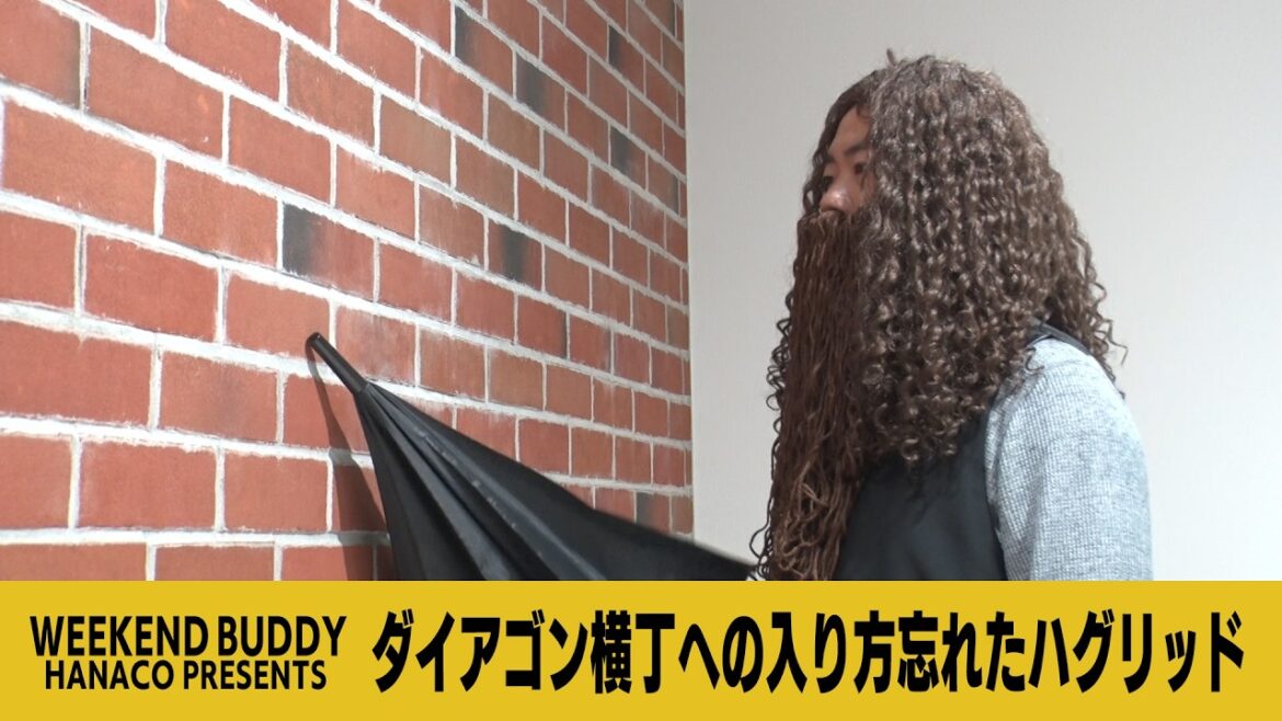 ダイアゴン横丁への入り方忘れたハグリッド【ハナコ】