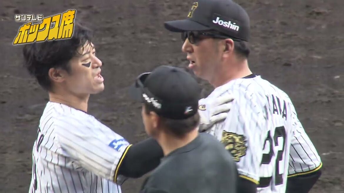 【エキサイト】藤川監督激怒!坂本誠志郎選手への頭部死球で両軍ベンチから監督選手が飛び出す事態に(2025年4月20日 阪神ー広島) #サンテレビボックス席