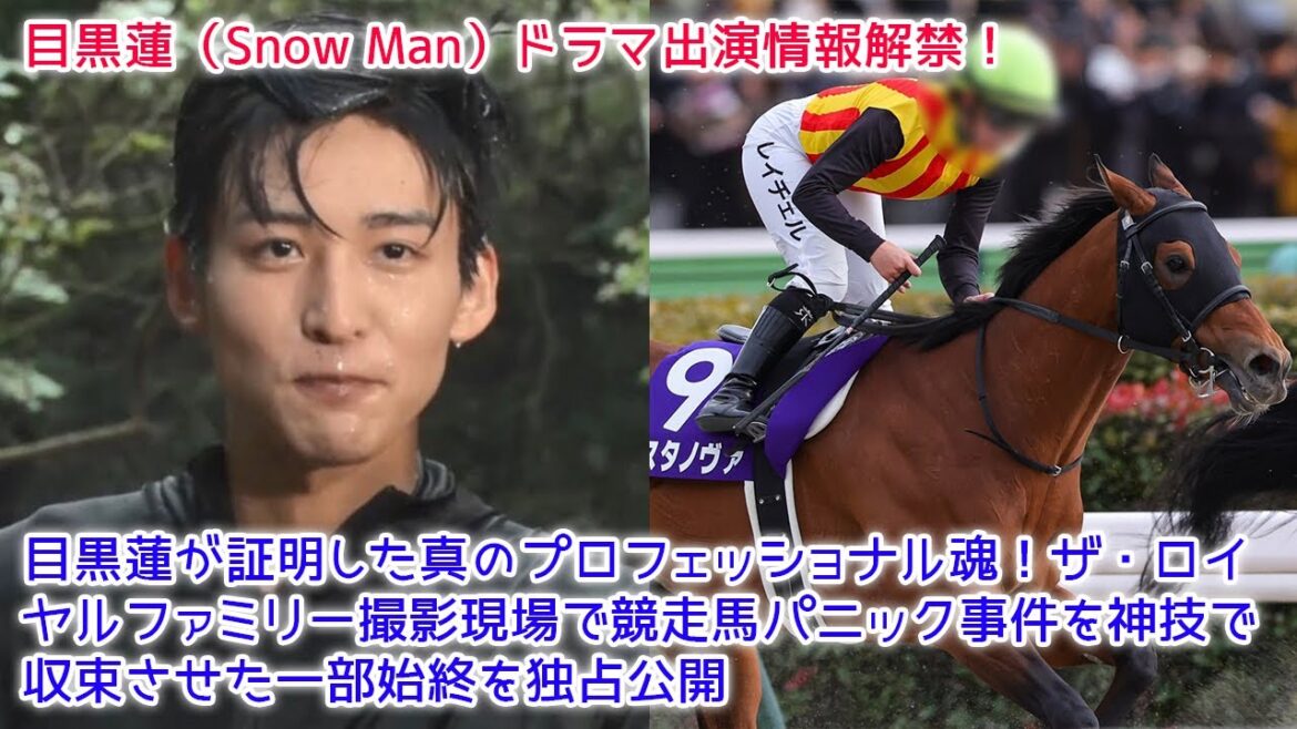 【緊急事態】目黒蓮が証明した真のプロフェッショナル魂!ザ・ロイヤルファミリー撮影現場で競走馬パニック事件を神技で収束させた一部始終を独占公開