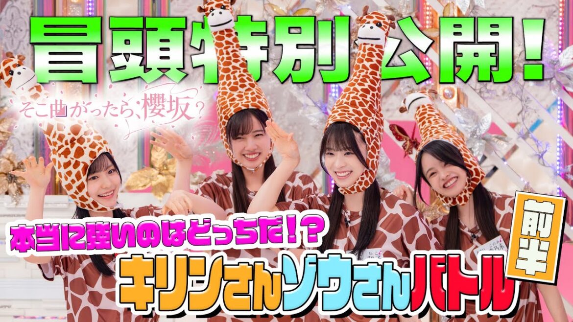 【#山﨑天 のキリンさんチームvs#森田ひかる のゾウさんチーム】そこ曲がったら、櫻坂? 本当に強いのはどっちだ⁉キリンさんゾウさんバトル前半 冒頭特別公開