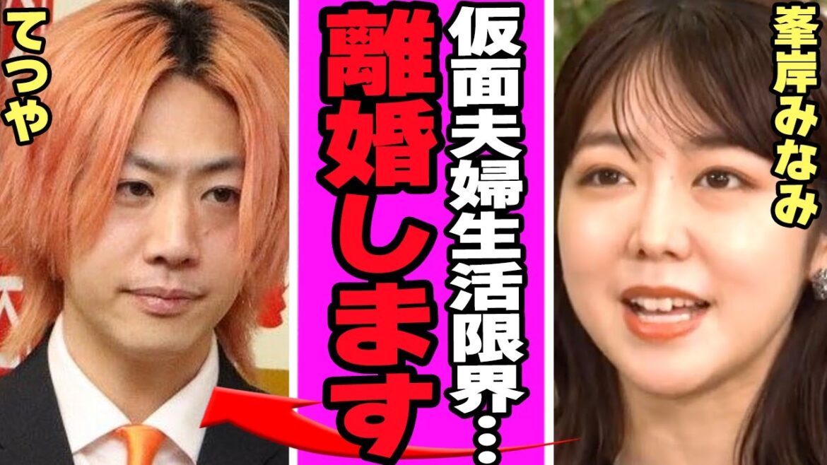 峯岸みなみ孤独な“ワンオペ育児”に限界…てつやとのすれ違いが深刻化の真相に驚きを隠せない【アイドル】