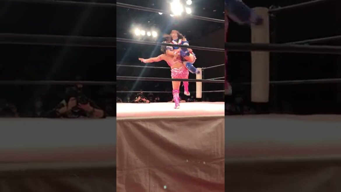 荒井優希が渡辺未詩にフロントハイキックを決めてからサソリ固めを狙うも渡辺は抱えて膝に打ちつけていく 東京女子プロレス「Tokyo Joshi 2022 Winter」 2022年2月19日