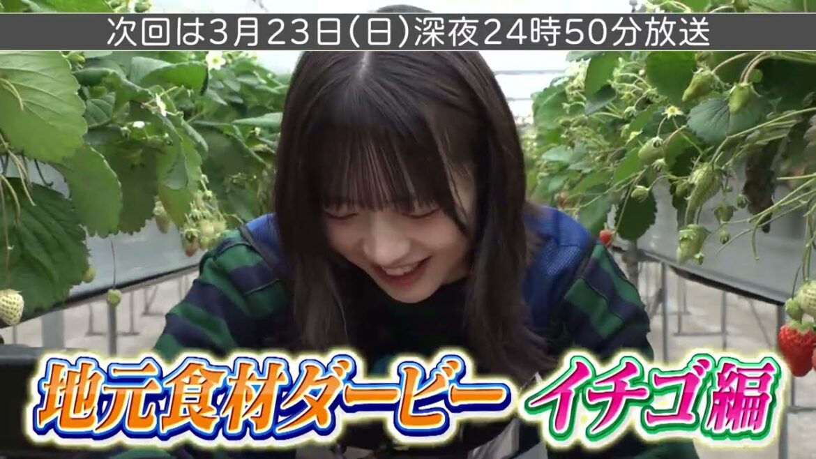【3/23放送】アイドルの味覚を試す利きイチゴバトル!SKE48 13期生オーディション完結編【SKE48】