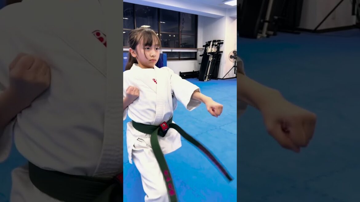 平安そのII:福岡支部 #karate #空手 #kyokushin #martialarts #極真空手 #新極真会 #sports #shinkyokushin #budo