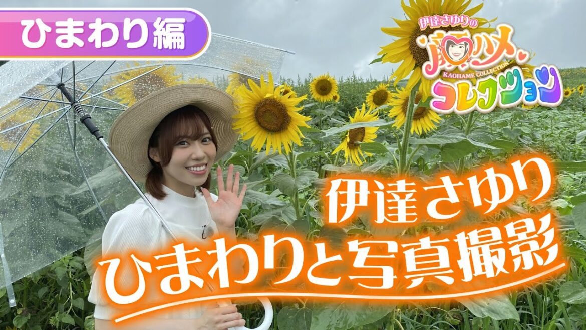 【さゆコレ】声優・伊達さゆり 夏らしさMAX🌞ひまわり畑で映え写真を撮ろう🌻