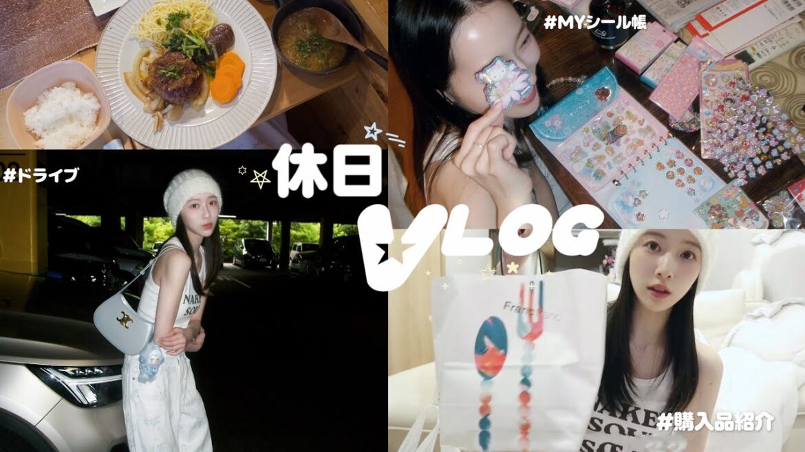 【休日Vlog】お友達とドライブしながらお買い物🚗໒꒱ ˖ ࣪シール帳/購入品も紹介🧑🏻🍳⭐️