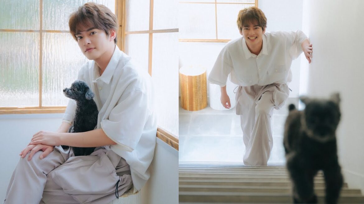 中山優馬さんと愛犬ティンクくんが遊びにきてくれました!(トイプードル|月刊わんこ撮影オフショット)