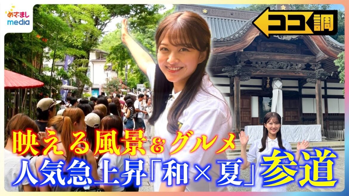 若者急増!SNS映え風景&グルメで人気急上昇中”原宿化”する参道の魅力とは?原田葵アナが徹底調査【ココ調】