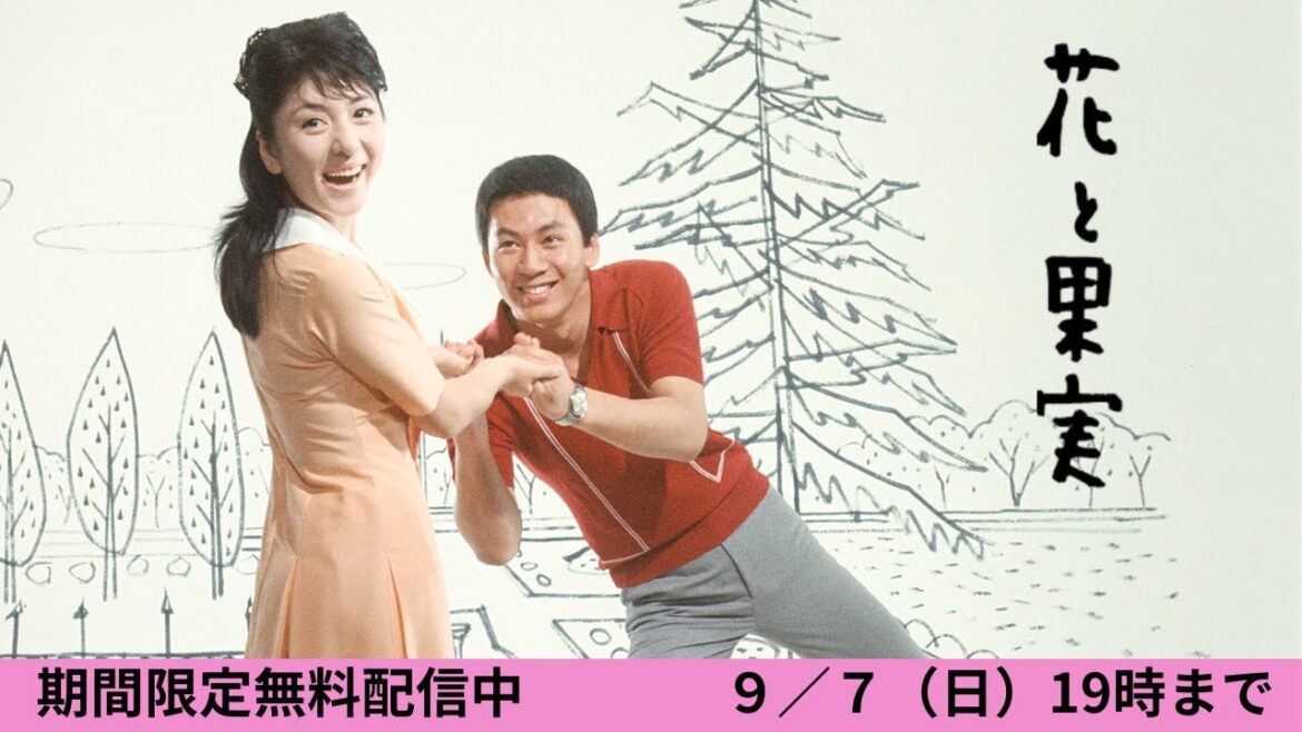 【リクエスト作品】和泉雅子&杉良太郎「花と果実」(1967)
