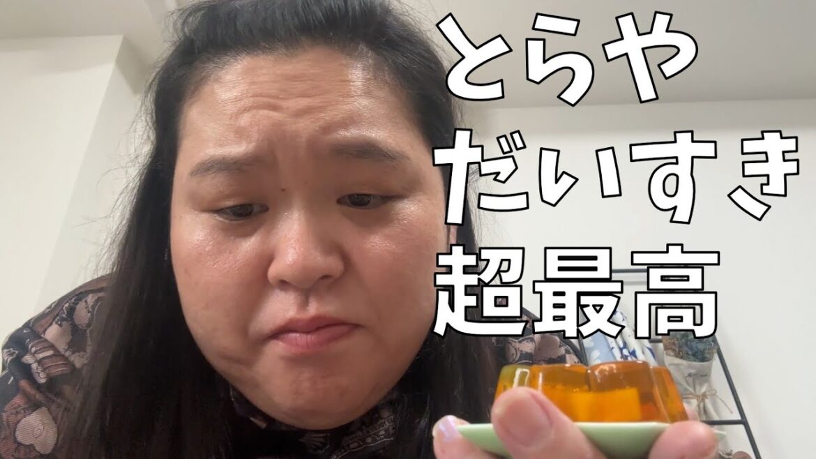 【とらや 琥珀製下染】とらやは自分用にもお手土産にも超最高だよ!【とらやは誇れる日本のお菓子】