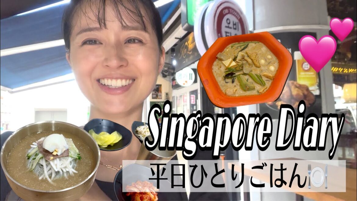 【Vlog】シンガポールでひとりランチ🍚/激ウマ韓国冷麺&麻辣担🔥