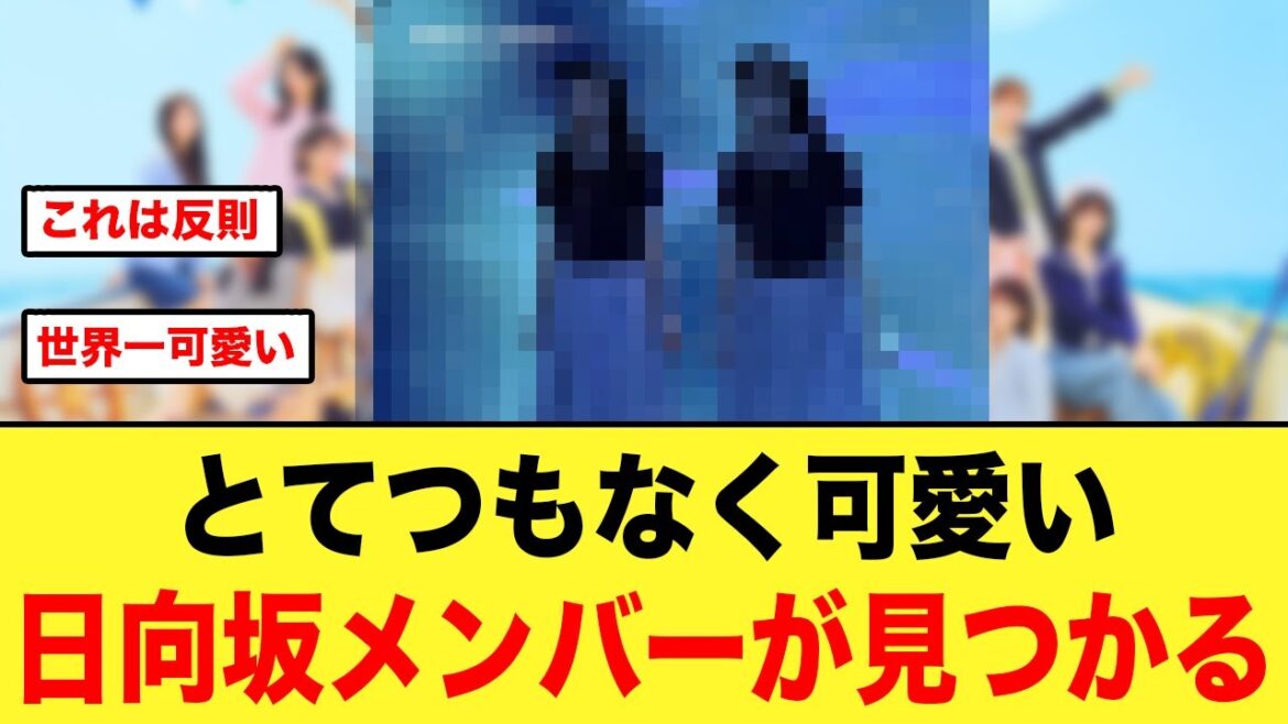 とてつもなく可愛い、日向坂メンバーが発見される【日向坂46】