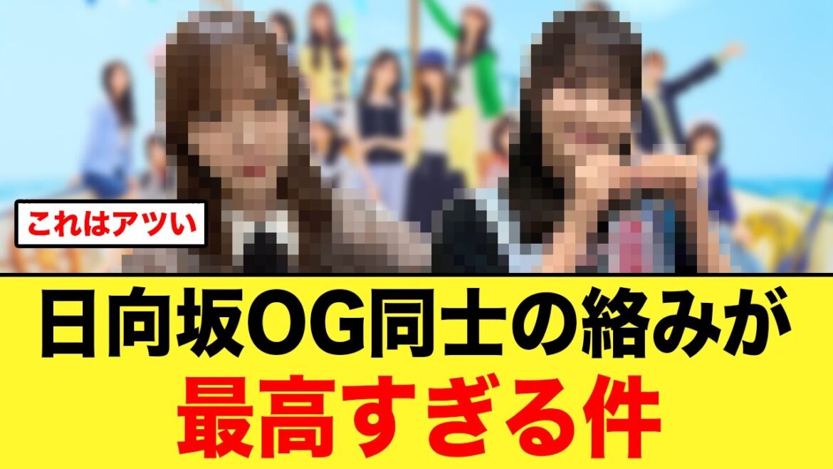 コレが無料!?日向坂OG同士のやり取りが最高すぎる件【日向坂46】