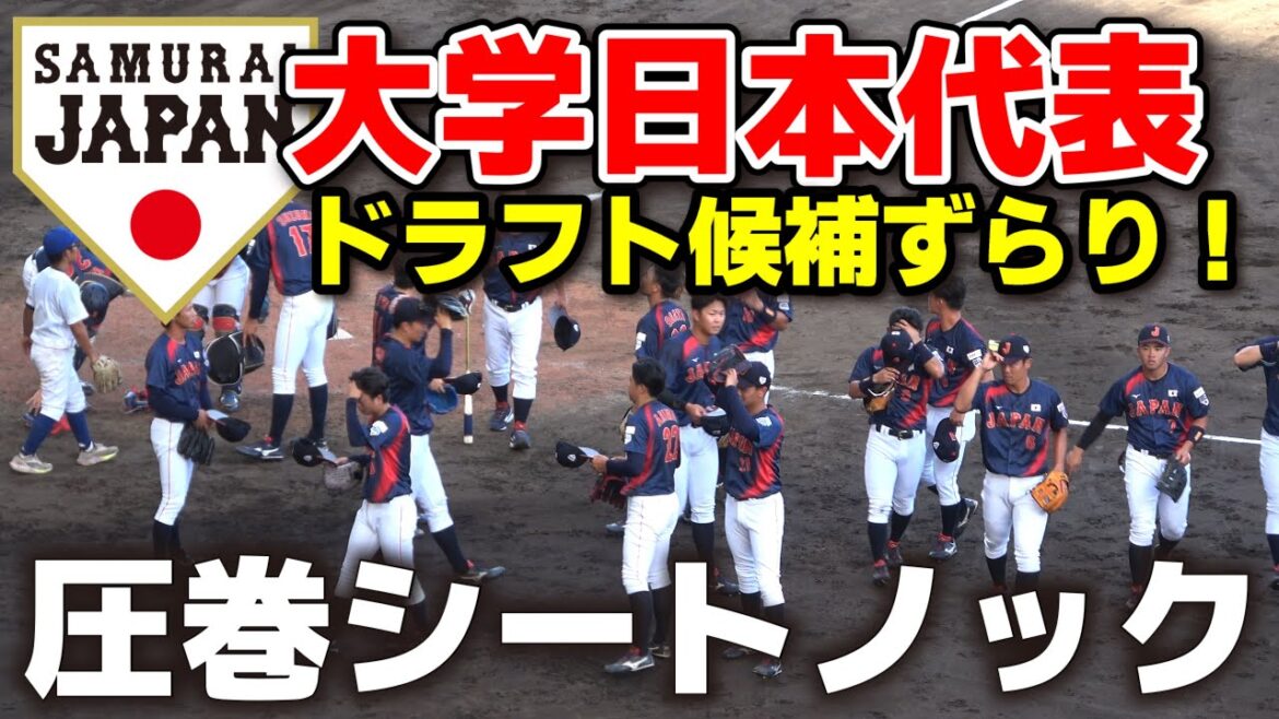大学日本代表 シートノック 高校代表も釘付け!これがプロ即戦力の実力! 【侍ジャパンU-18壮行試合 高校日本代表 vs 大学日本代表】2025.8.31