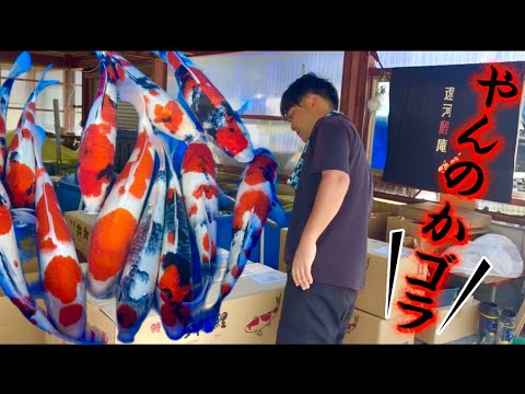 【遼河鯉庵】鯉牧場と大喧嘩!!アイツよりレベルが高い伊佐昭和を売って対抗します。