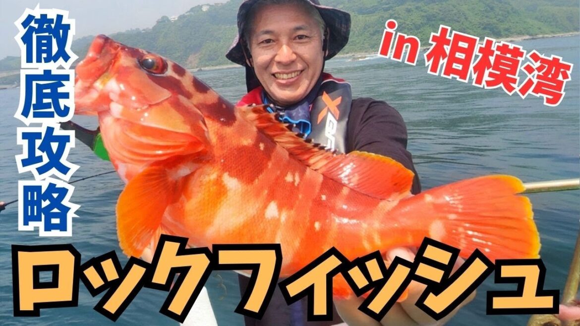 【ロックフィッシュ】亮さん 徹底攻略、ロックフィッシュ!【田村亮の釣りまか!243】