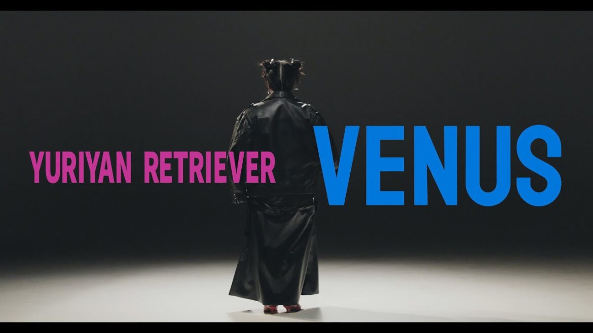 YURIYAN RETRIEVER – 『Venus』Music Video