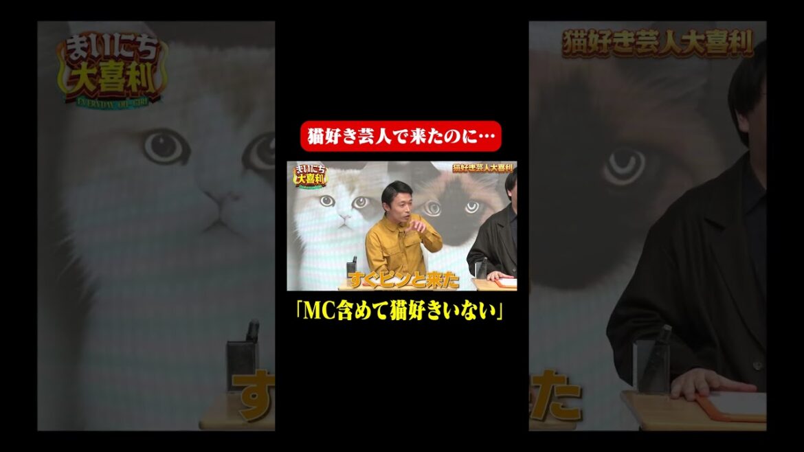 【猫好き芸人大喜利】MC含め誰1人猫好きいない #まいにち大喜利 #おすすめバラエティ