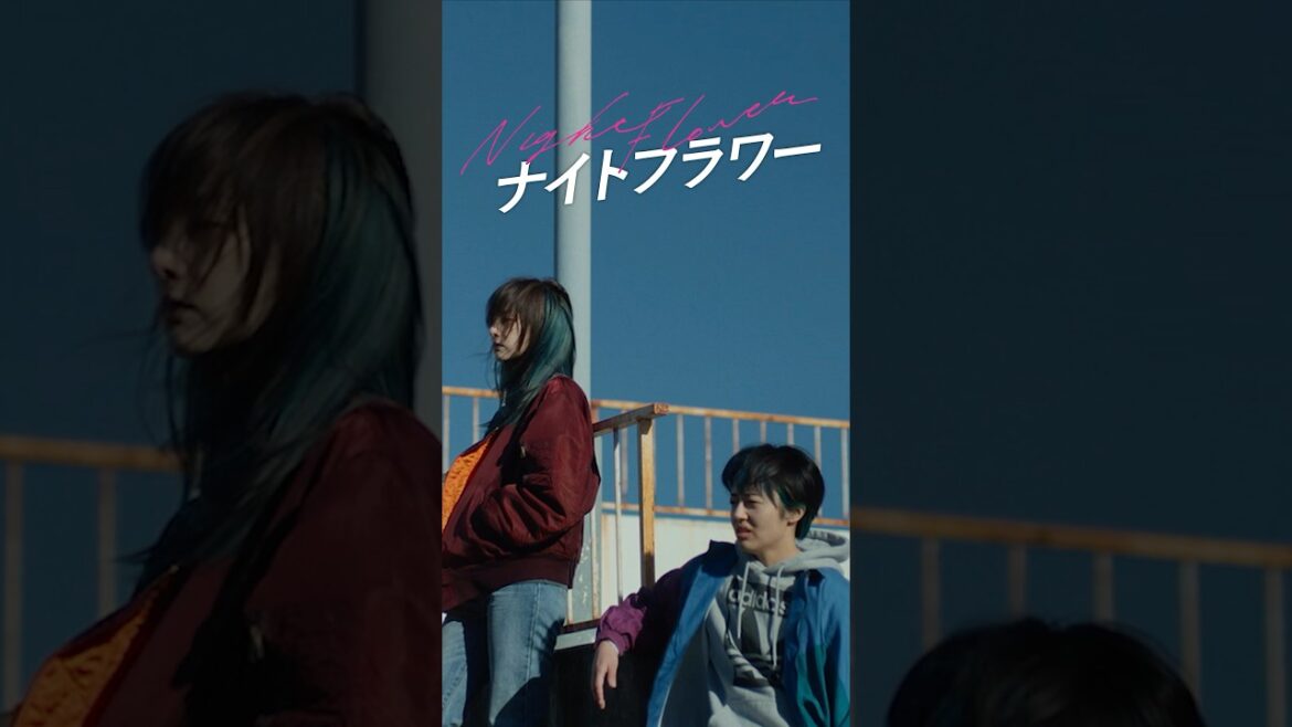映画『ナイトフラワー』本予告【11/28(金)公開】 #映画ナイトフラワー #内田英治 #北川景子 #森田望智 #佐久間大介 #snowman nowman #渋谷龍太 #superbeaver
