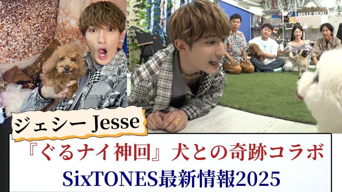ジェシー Jesse 『ぐるナイ神回』犬との奇跡コラボに衝撃!SixTONES最新情報2025
