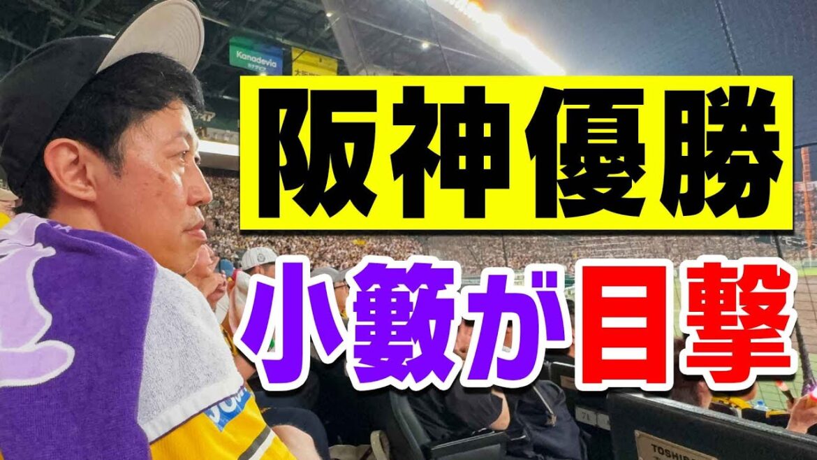 【歴史的瞬間】阪神タイガース 史上最速Vを甲子園で目撃!大熱狂を生で体感してきました!