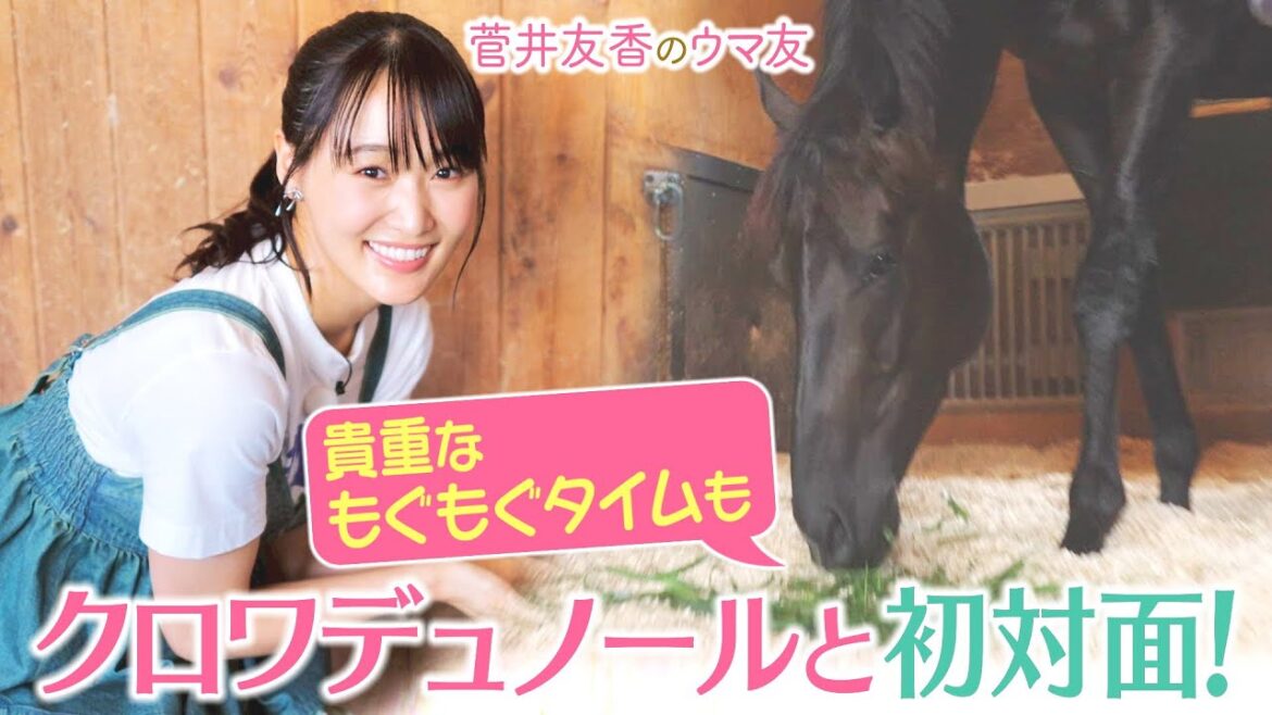 【今週末はいよいよ前哨戦・プランスドランジュ賞!】「日本馬初めての凱旋門賞勝利を…」斉藤崇史調教師と間宮辰徳助手の想いに迫る!クロワデュノールの素顔も必見!<菅井友香のウマ友になってくれませんか?>