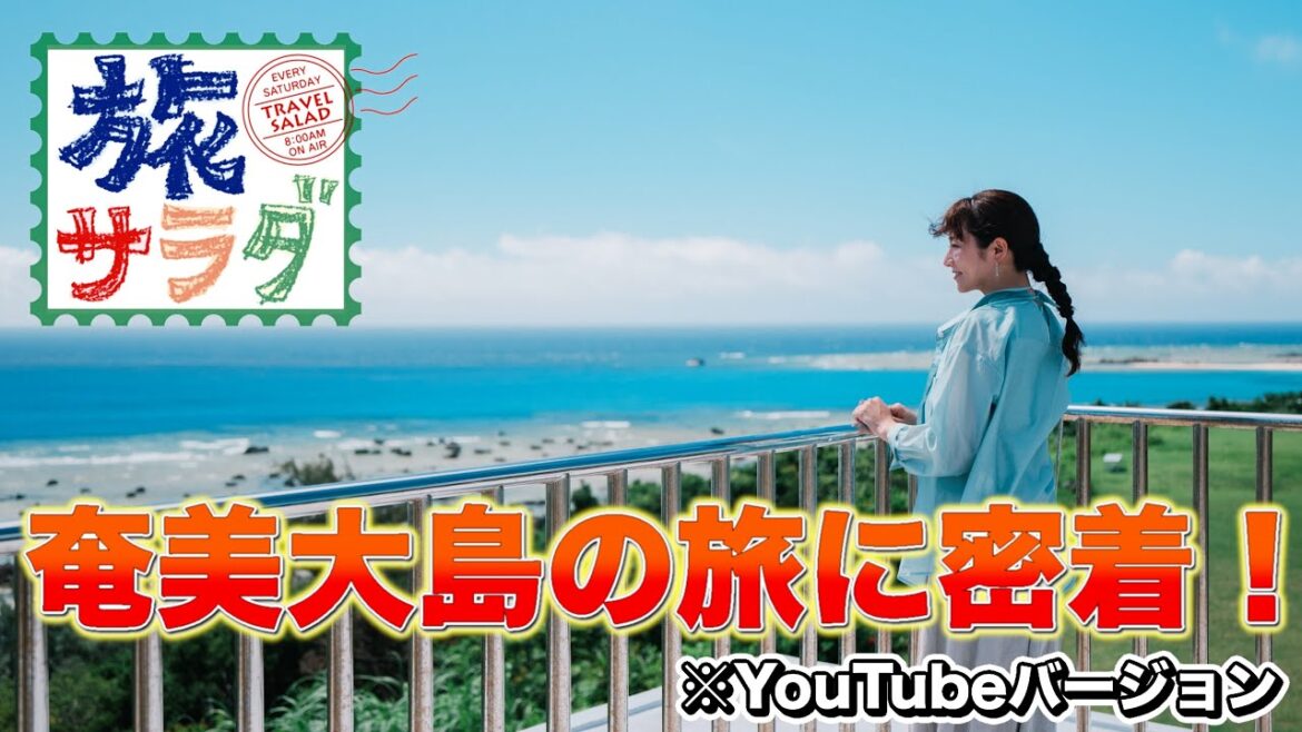 【奄美大島】オンとオフの使い分け【旅サラダ】