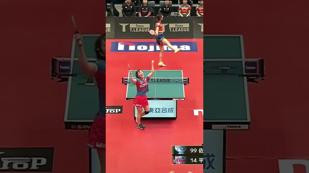 #平野美宇 照井雄太が選ぶスーパープレー「 完璧なカウンターで勝利!」日本ペイントマレッツvs木下アビエル神奈川ノジマTリーグ2024-2025PO女子F3/23(日)代々木第二【卓球 Tリーグ公式】