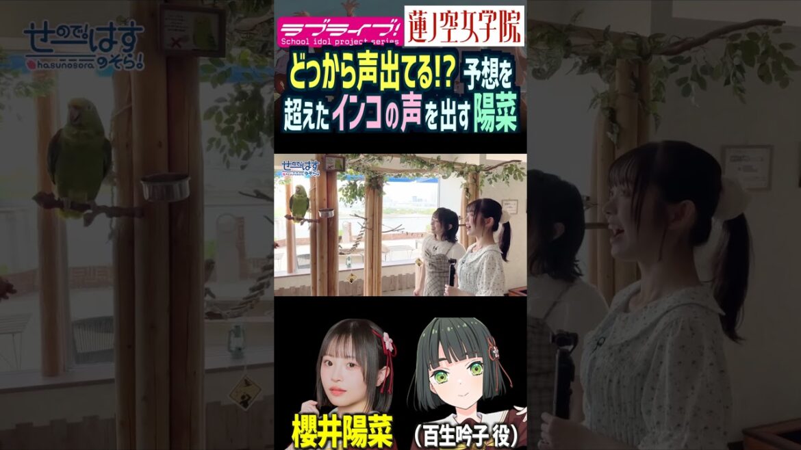 【蓮ノ空】予想を超えたインコの声真似をする櫻井陽菜【Link! Like! ラブライブ!】#shorts リンクラ 日野下花帆 百生吟子 のんちゅけ のんすけ ひーちゃん 声優