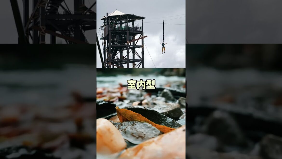 【悲報】ジャングリア沖縄、全く話題にならなくなる… #2ch #5ch #shorts #2chまとめ #2ch面白いスレ
