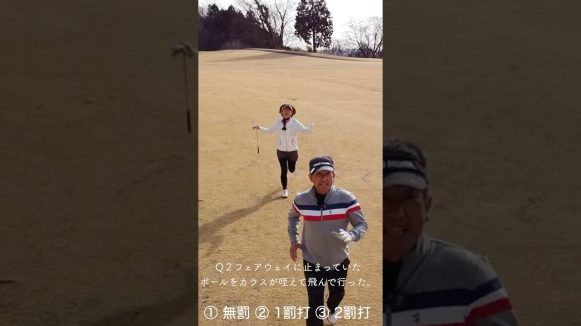 【ゴルフクイズ 】カラスにボールを取られたら何罰打? #shorts #ももごる #ゴルフ #ゴルフルール #ゴルフクイズ