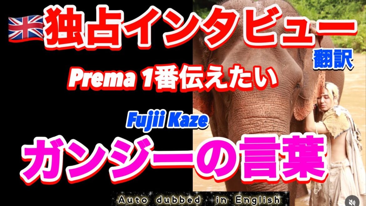 え!?そうだったの!イギリスのインタビューでの藤井風の本音、世界の人に伝えたいメッセージとは、、、翻訳