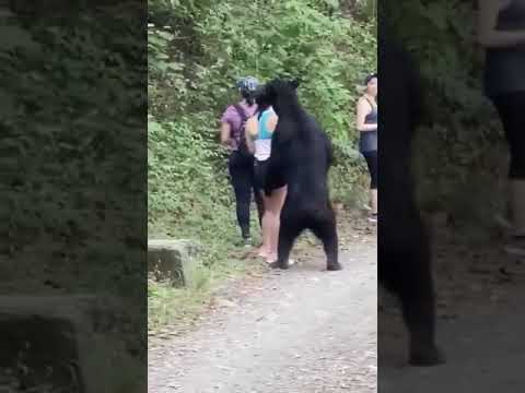 【緊張感】クマに遭遇した女性3人。じっとしてやり過ごす。