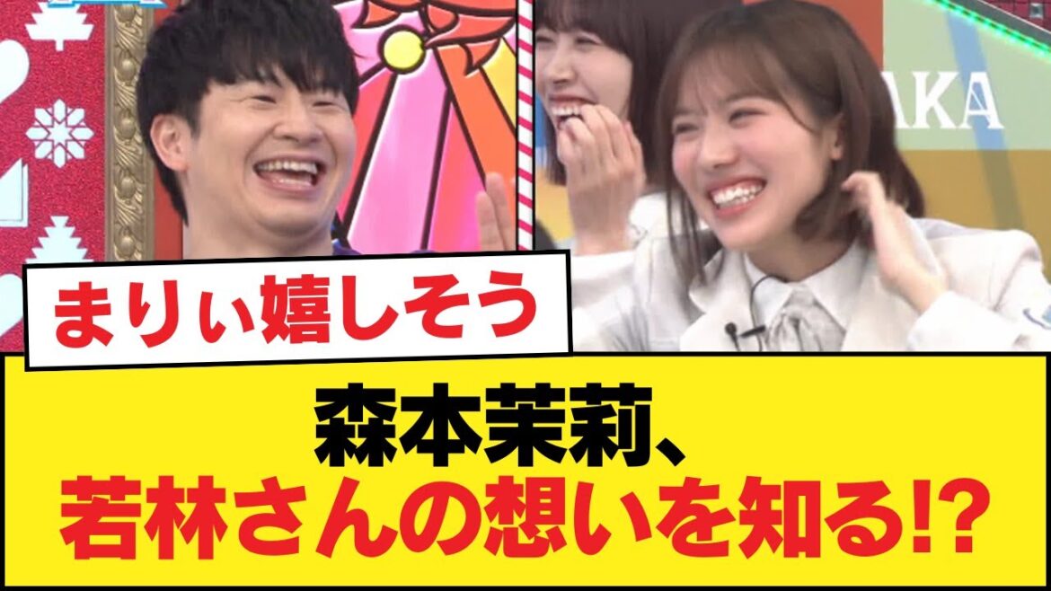 【日向坂46】森本茉莉、若林さんの想いを知る!?【日向坂46HOUSE】#日向坂46 #日向坂 #日向坂で会いましょう #乃木坂46 #櫻坂46