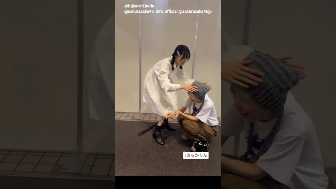 増本綺良 藤吉夏鈴 かりん猫とたわむれるきらちゃん♪きらかりん 櫻坂46