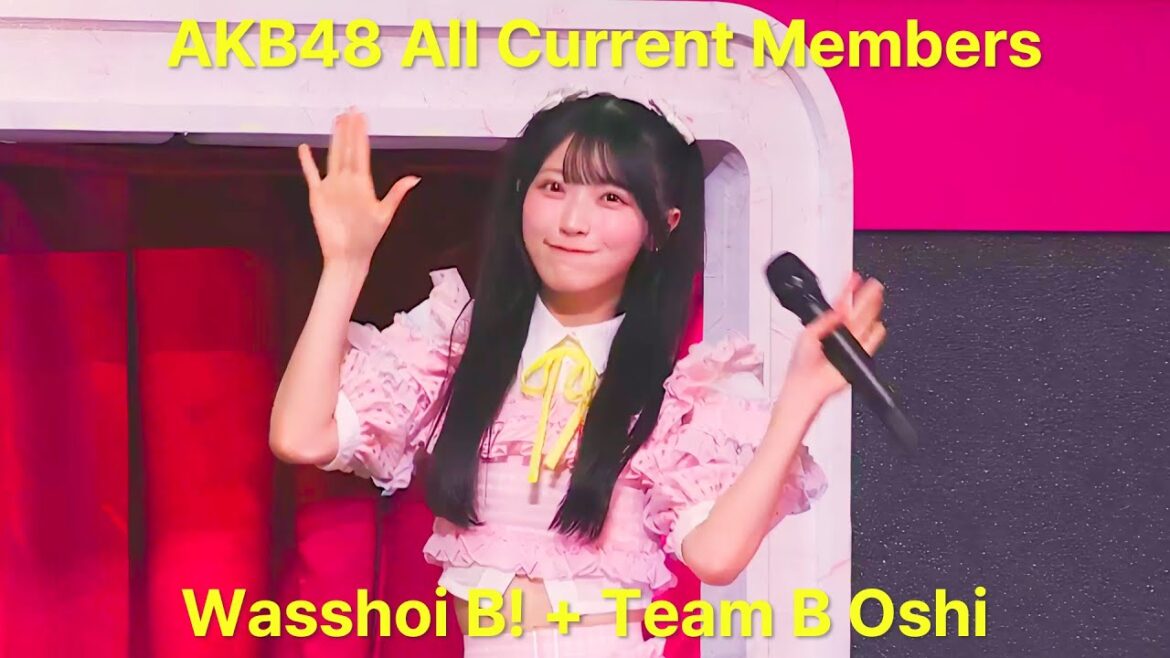 AKB48 全現役メンバー 名前一覧 / Wasshoi B! +Team B Oshi(ワッショイB! + チームB推し)