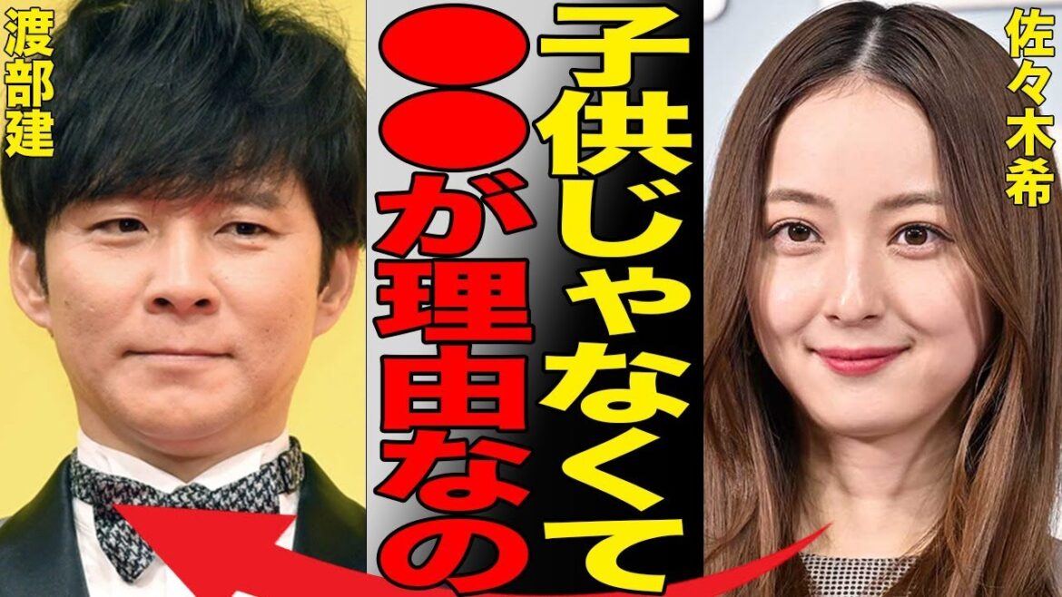 佐々木希がテレビでも語られなかった離婚しない衝撃の真相に言葉を失う…「子供のため」と表向きの理由を語るもそこには壮絶な過去に紐づいた彼女なりの深い事情が…渡部建は地上波復帰を目指すもある事で大炎上…