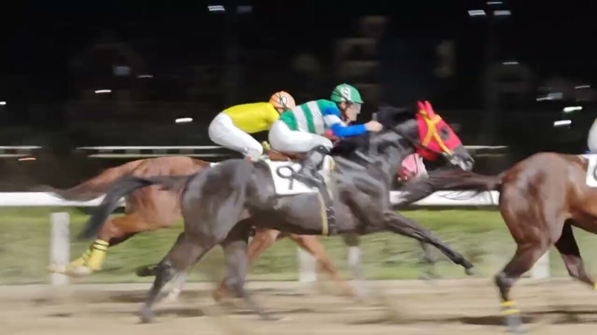 浦和競馬🏇4日目🔥第11r祝月🌕️🌾特別🌟勝利⑤ファストレーン号🐴本田正重騎手🏇差し切りNice✌🎉おめでとう👍3連単5-2-4 万馬券💴16.820円 #本田正重 #nice #おめでとう