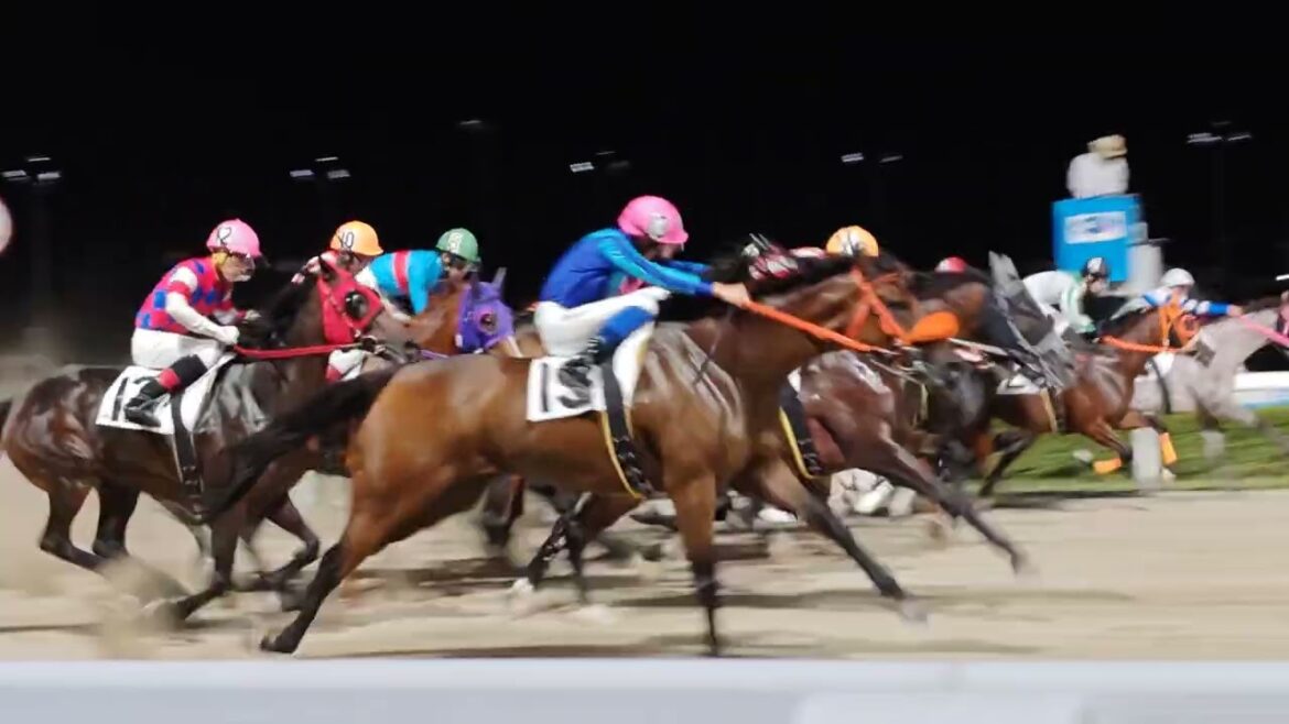 🐴浦和競馬🏇最終日🔥ルーキー中山遥人騎手🏇😉Nice✌今日3勝💪第10r🌟🌟🌟🌟第12r🔥勝利😀今日4勝だぁー👍曼珠沙華特別①ココモローズ号🐴㊗️✌ #中山遥人 #ココモローズ 🐴 2025年デビュー