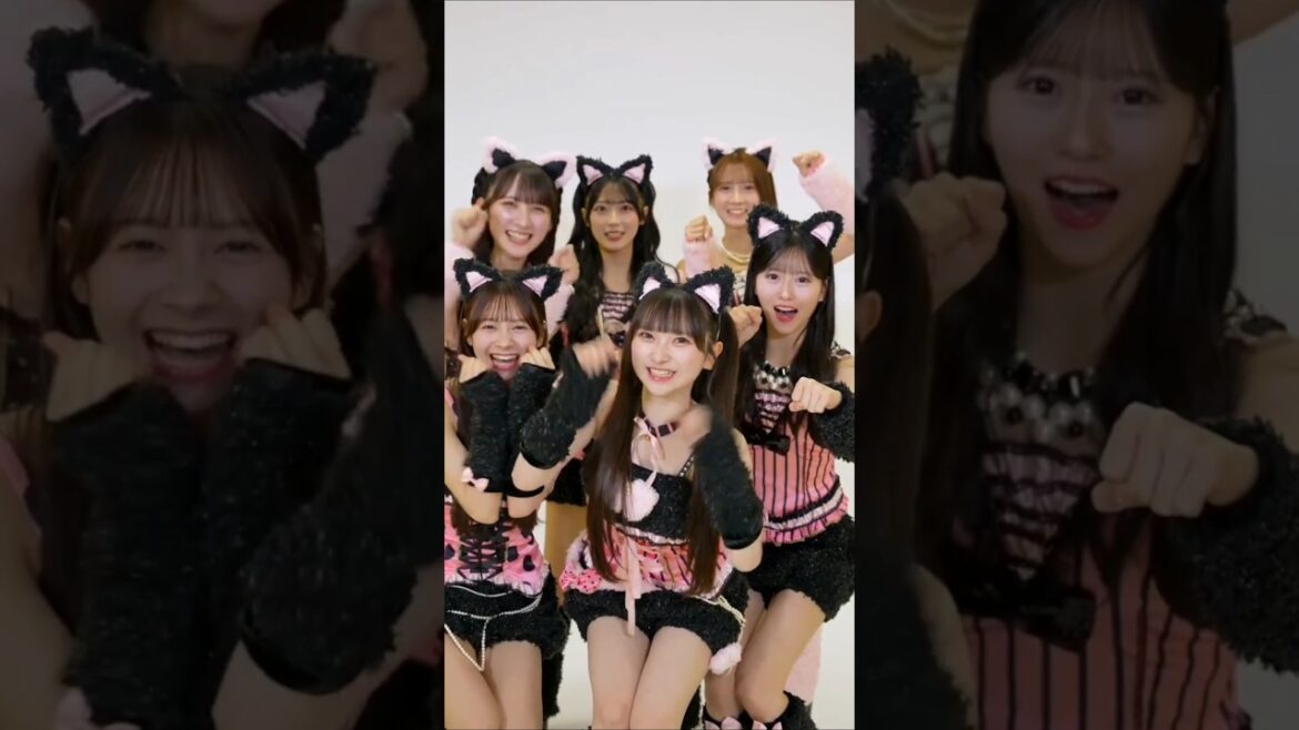 🍊 猫パンチ 🌸 #AKB48 #山﨑空 Sora #八木愛月 Azuki #伊藤百花 #長友彩海 Ayami #佐藤綺星 Airi #水島美結 🍓 #AKB48_20thYear #shorts