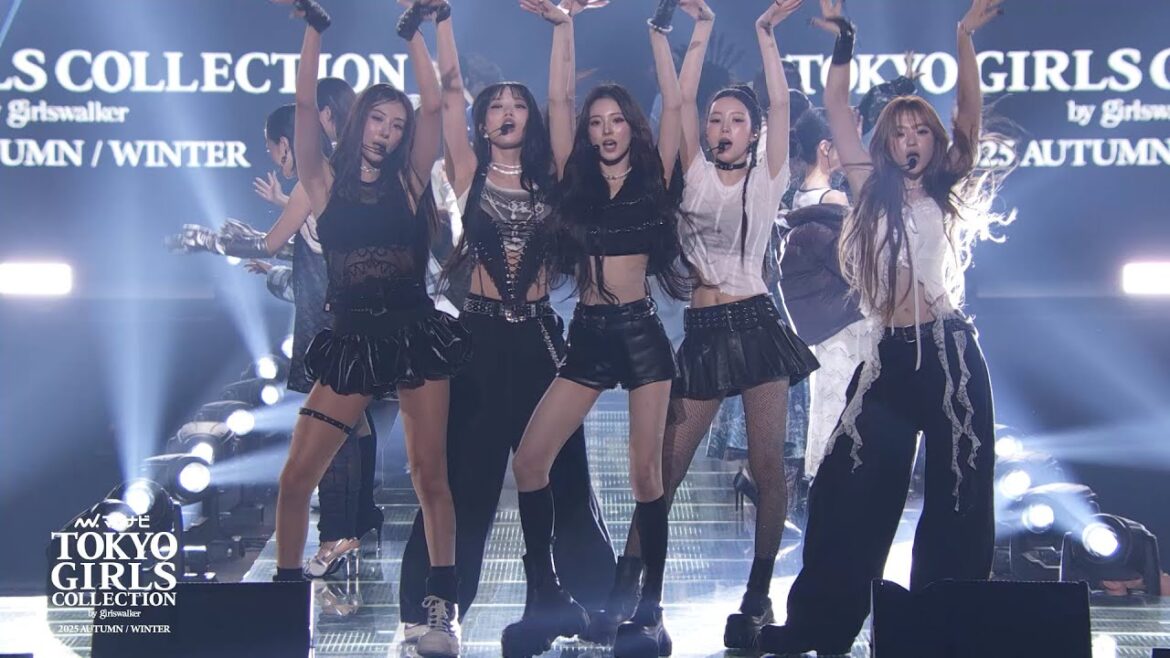 GRAND FINALE|マイナビ TGC 2025 A/W