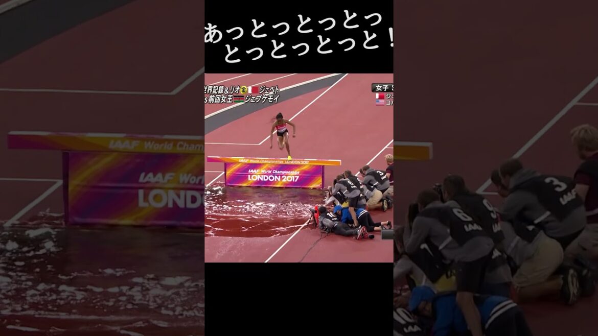 あっとっとっとっとっとっとっと!【世界陸上ロンドン2017/女子3000m障害決勝】