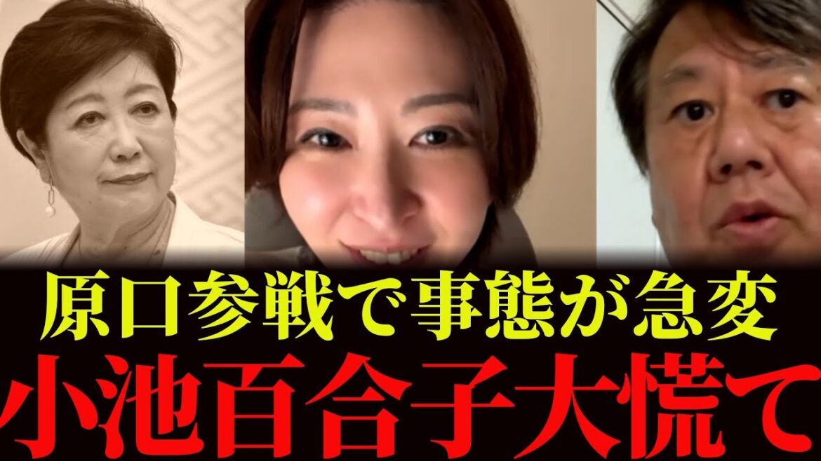 【さとうさおり】※大至急見てください!原口一博が緊急参戦で事態が急変します!