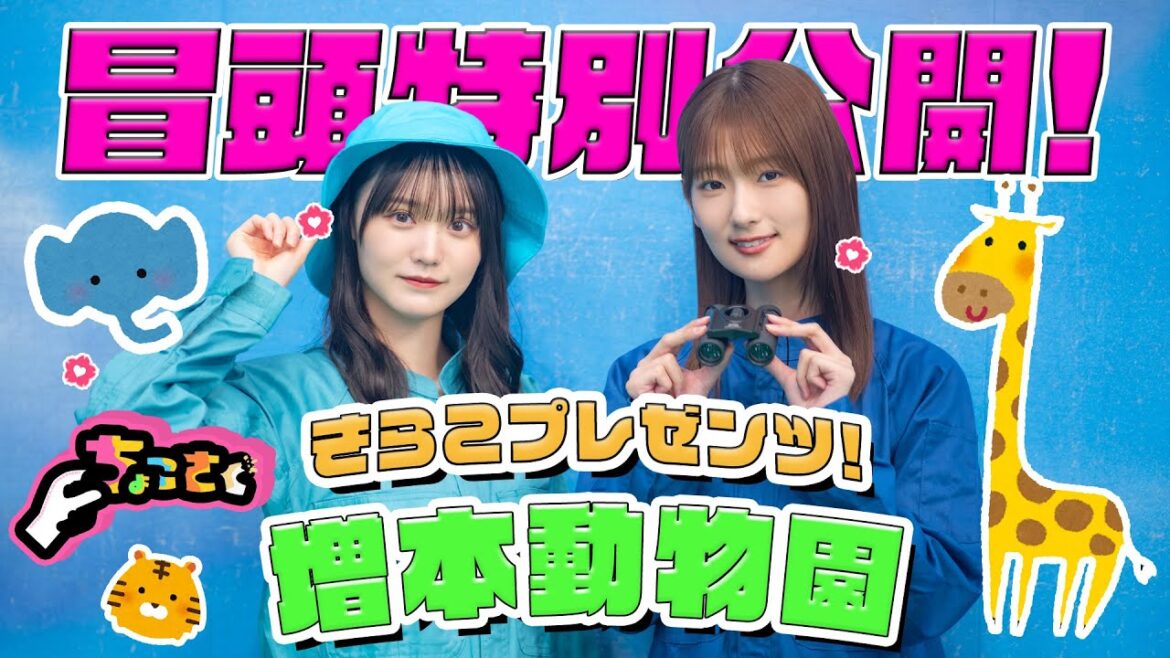 【#増本綺良 園長考案のゲームでバトル!】ちょこさく きらこプレゼンツ!増本動物園 冒頭特別公開